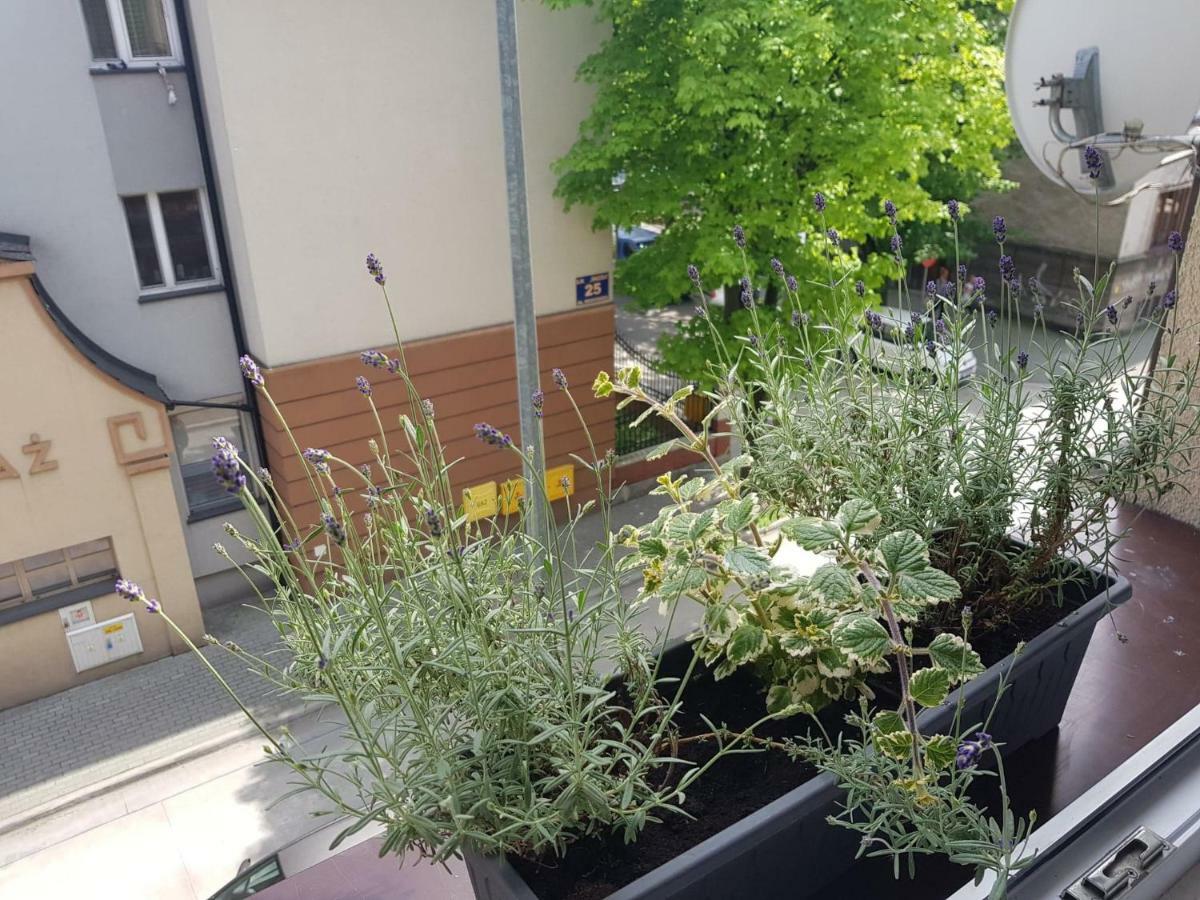 Przytulna I Przestrzenna Garsoniera- Centrum Tarnow Bagian luar foto